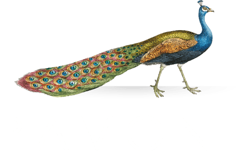 Enoteca Il Pavone